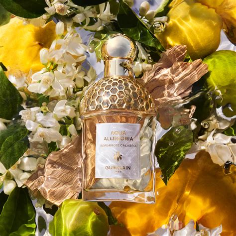 aqua allegoria perfumes